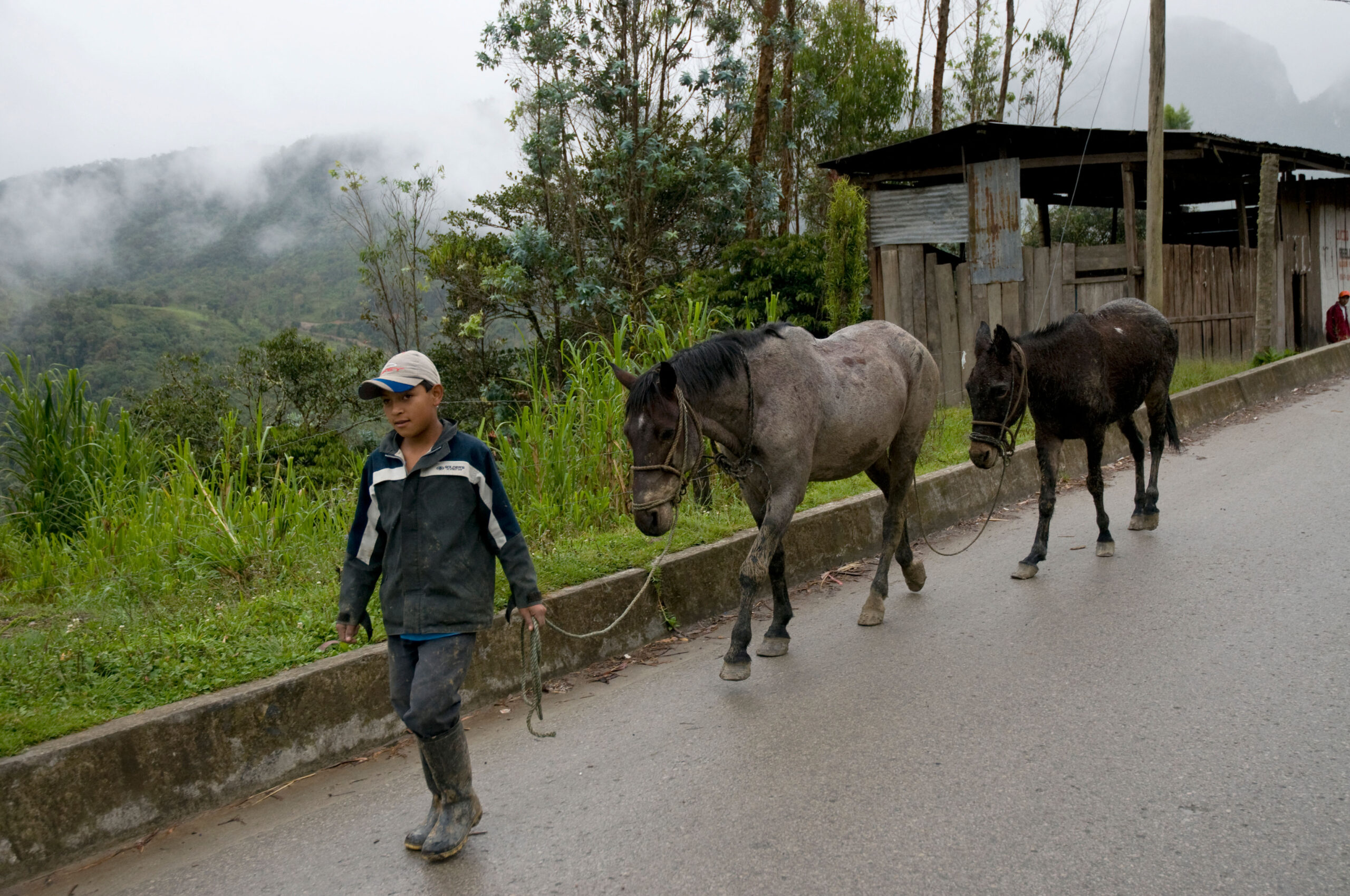 ‘They came at night’: Armed men at Disney forest project razed farmers’ homes 