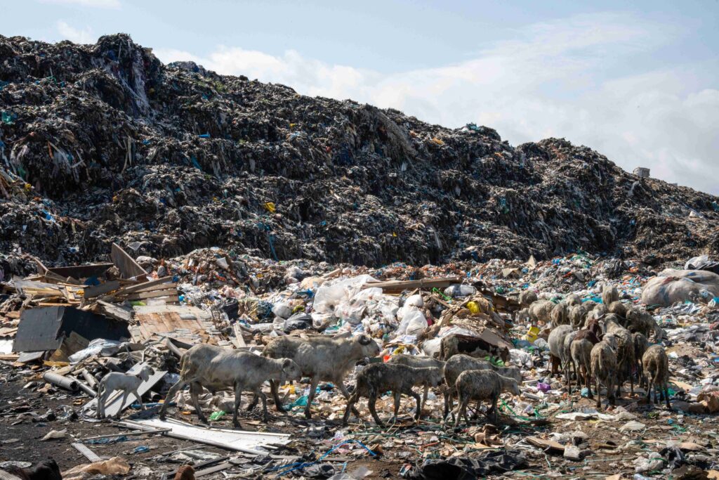 Tema landfill in Accra (SourceMaterial)